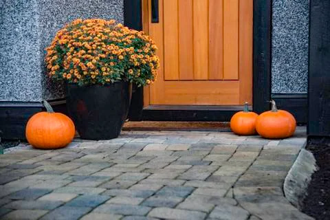 Pumpkins near the door Stock Photos