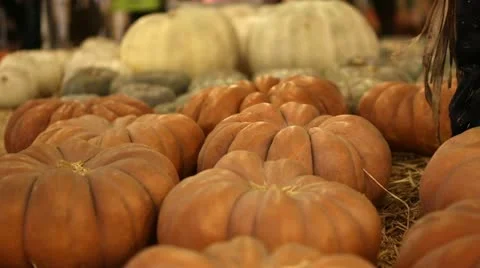 Pumpkins Orange and White 库存影片 12285014
