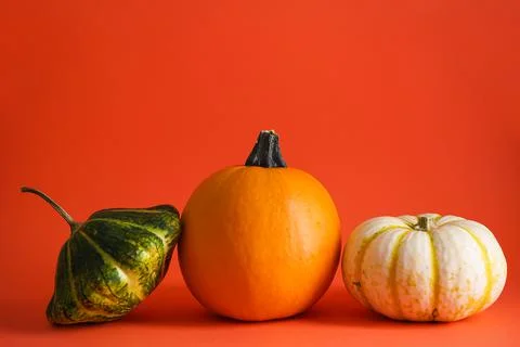 Pumpkins on orange background, space for text. Autumn composition. Halloween  Stock Photos