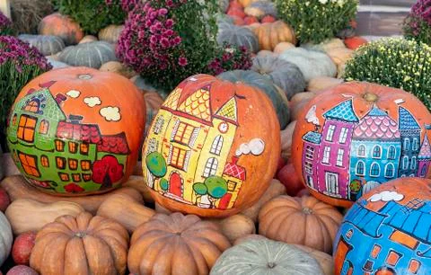Pumpkins. Orange pumpkins as an art object for creativity. Stock Photos
