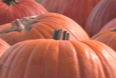 Pumpkins Pan Stock Footage 285164