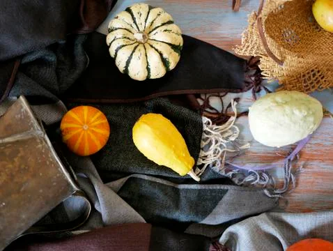 Pumpkins, pears, apples, gray fabric on a light wooden table Stock Photos