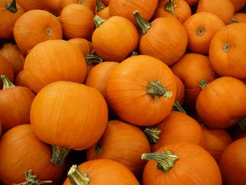 Pumpkins Stock Photos
