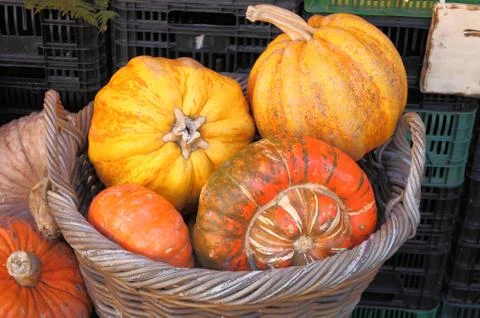 Pumpkins Stock Photos