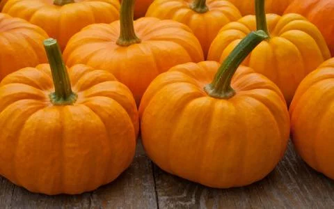 Pumpkins Stock Photos