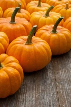 Pumpkins Stock Photos