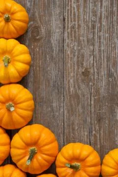 Pumpkins Stock Photos