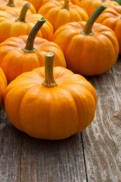 Pumpkins Stock Photos