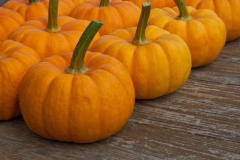 Pumpkins Stock Photos