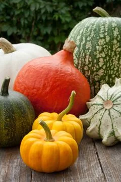 Pumpkins Stock Photos