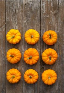Pumpkins Stock Photos