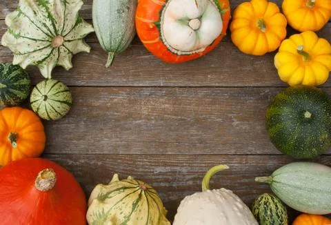 Pumpkins Stock Photos