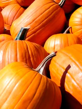 Pumpkins Stock Photos