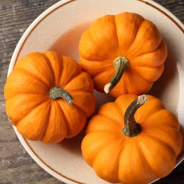 Pumpkins. Stock Photos