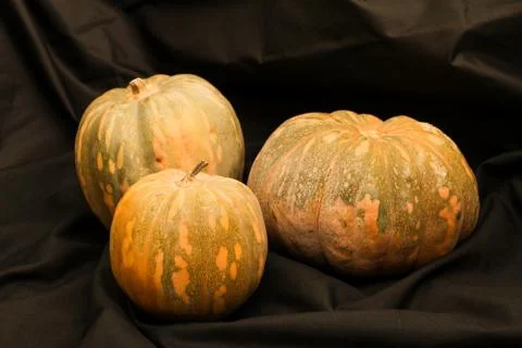 Pumpkins Foto stock