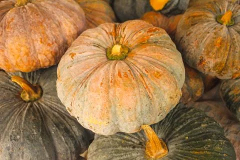 Pumpkins Stock Photos
