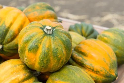 Pumpkins Stock Photos
