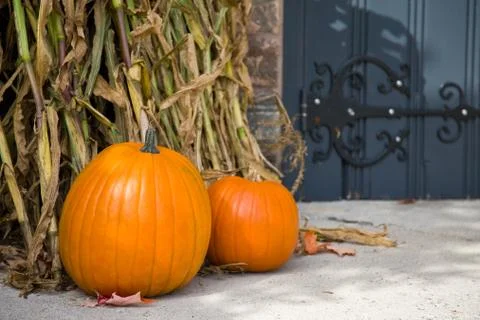 Pumpkins Stock Photos