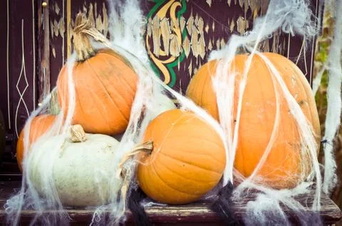 Pumpkins Stock Photos