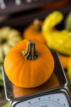 Pumpkins Stock Photos