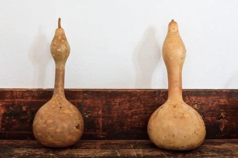 Pumpkins Stock Photos