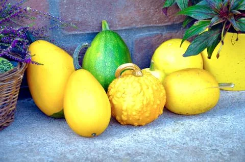 Pumpkins Stock Photos
