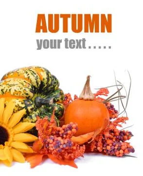 Pumpkins Stock Photos