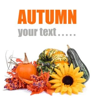  pumpkins  Stock Photos