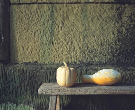 Pumpkins Stock Photos