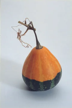 Pumpkins Stock Photos