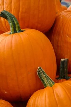 Pumpkins Stock Photos