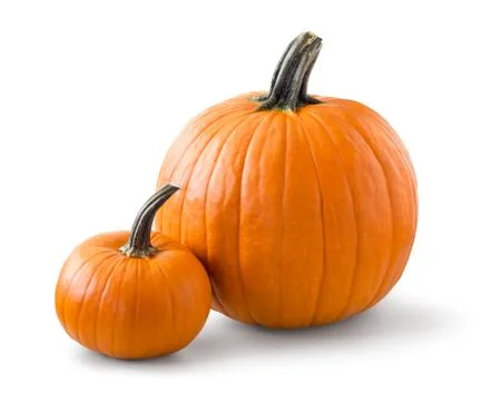 Pumpkins Stock Photos