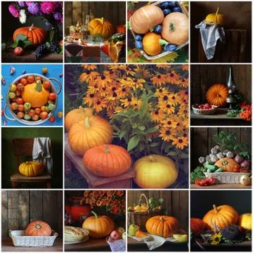 Pumpkins Stock Photos