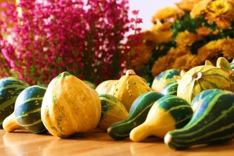 Pumpkins Stock Photos