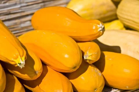 Pumpkins Stock Photos