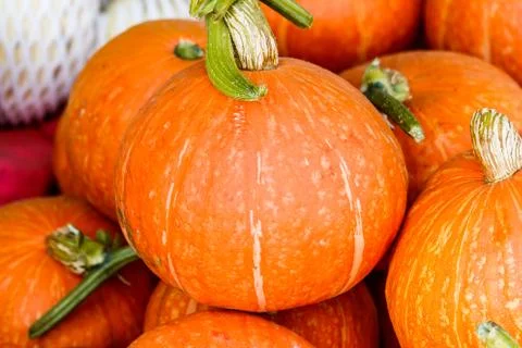 Pumpkins Stock Photos