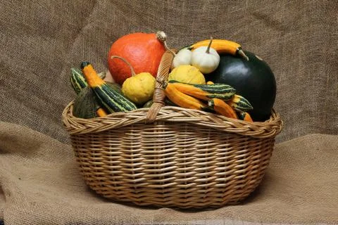 Pumpkins Foto stock