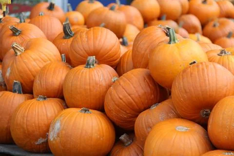 Pumpkins Foto stock