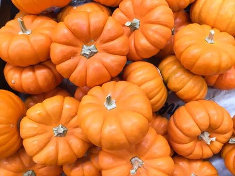 Pumpkins Foto stock