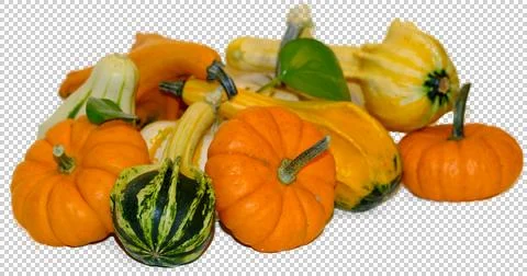 Pumpkins Stock Photos