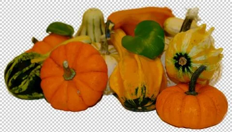 Pumpkins Stock Photos