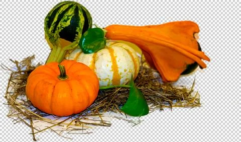 Pumpkins Stock Photos