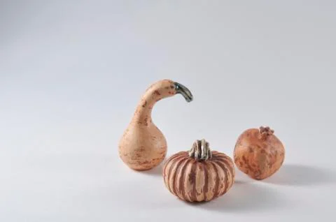 Pumpkins Stock Photos