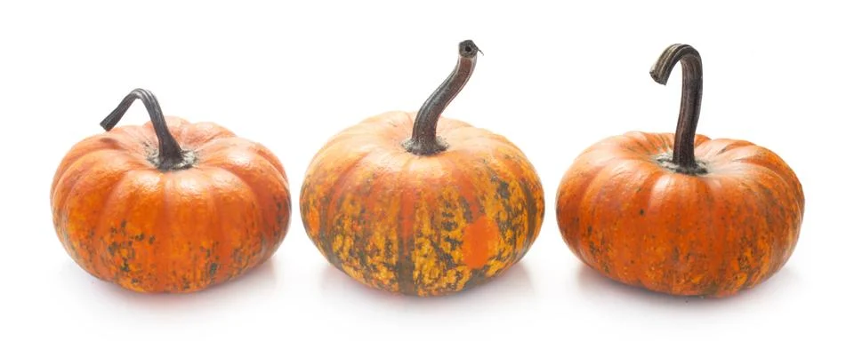 Pumpkins Foto stock