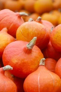 Pumpkins Stock Photos