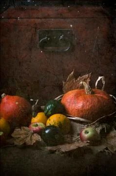 Pumpkins Stock-Fotos