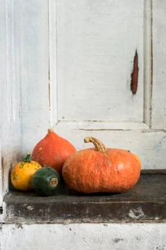 Pumpkins Stock-Fotos