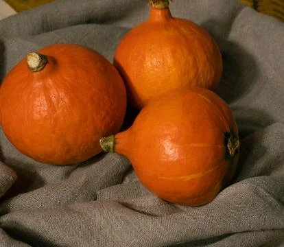 Pumpkins Stock Photos