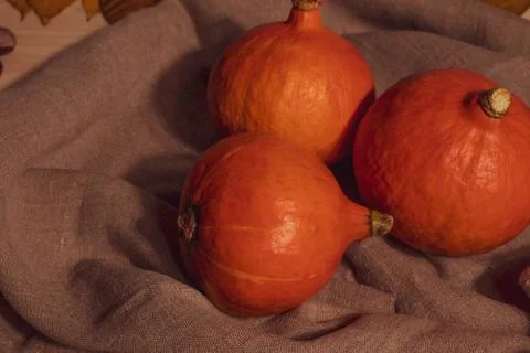 Pumpkins Stock Photos