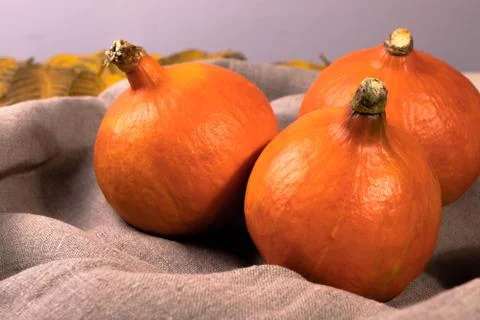 Pumpkins Stock Photos